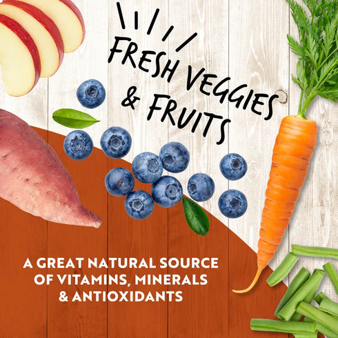 Earthborn Holistic K95 Wet Dog Food - Beef - 13oz Can