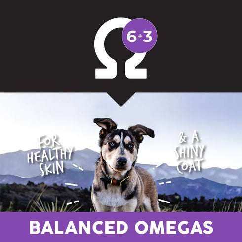 Ultimates Puppy Dry Dog Food - Chicken & Rice - 5lb Bag