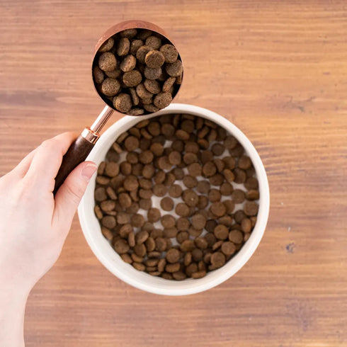 Wholesomes Sensitive Skin & Stomach Dry Dog Food - Salmon - 30lb Bag