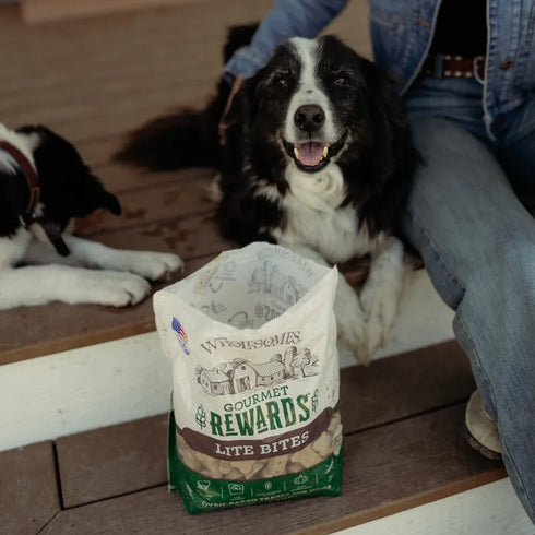 Wholesomes Gourmet Rewards Lite Bites Dog Treats - 3lb Bag