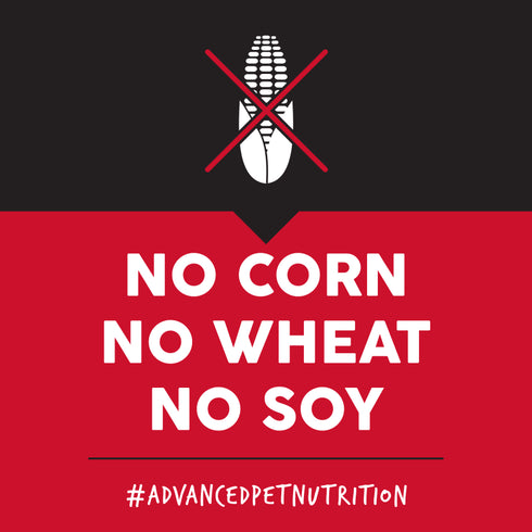 Ultimates Dry Dog Food - Chicken & Rice - 28lb Bag