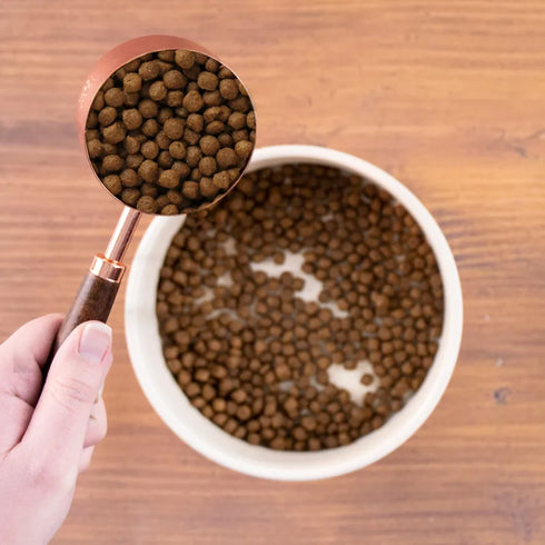 Wholesomes Whole Grain Dry Cat Food - Chicken & Rice - 15lb Bag