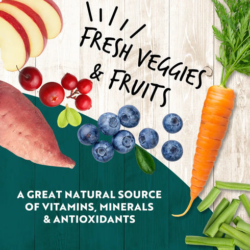 Earthborn Holistic K95 Wet Dog Food - Turkey - 13oz Can