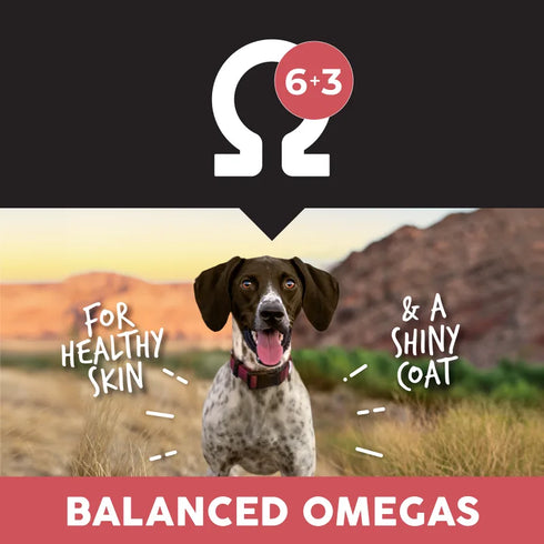 Ultimates Grain Free Dry Dog Food - Overland Red - 28lb Bag