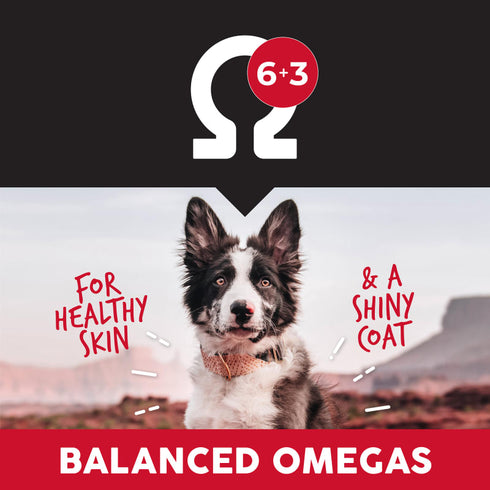 Ultimates Dry Dog Food - Chicken & Rice - 28lb Bag