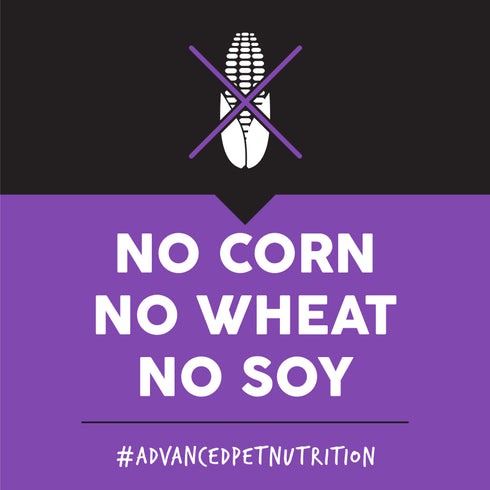 Ultimates Puppy Dry Dog Food - Chicken & Rice - 5lb Bag