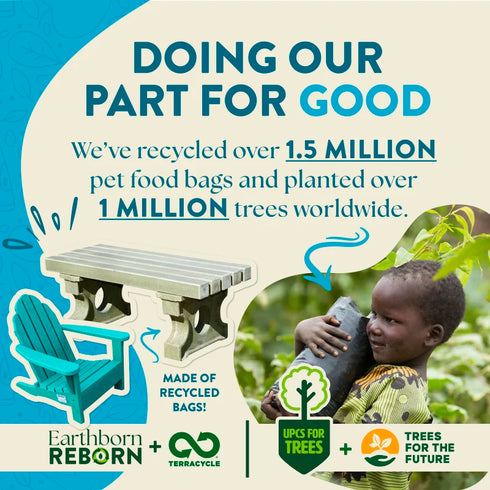 Earthborn Holistic Grain Free Dry Cat Food - Wild Sea Catch - 4lb Bag