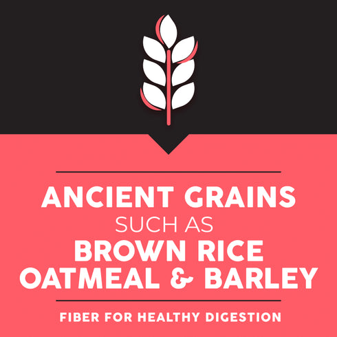 Ultimates Sensitive Skin & Stomach Dry Dog Food - Salmon - 5lb Bag