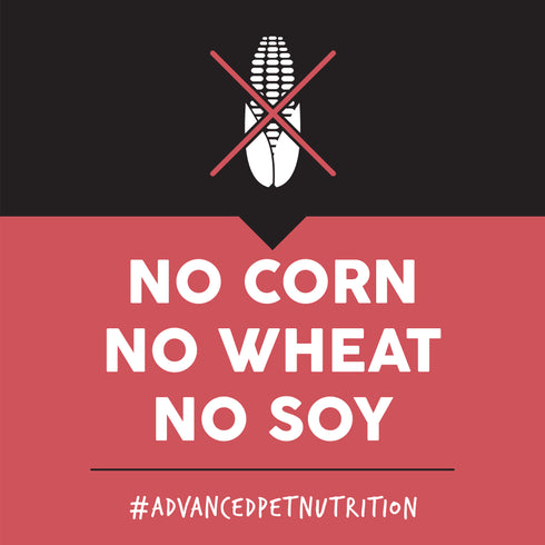 Ultimates Grain Free Dry Dog Food - Overland Red - 28lb Bag