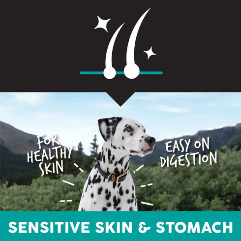 Ultimates Sensitive Skin & Stomach Dry Dog Food - Lamb - 28lb Bag