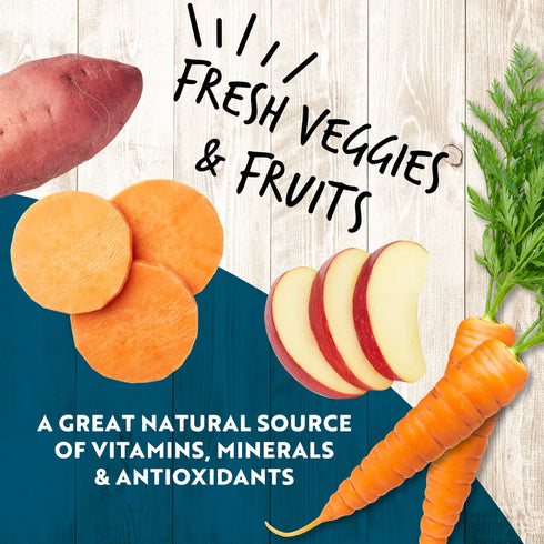 Earthborn Holistic K95 Wet Dog Food - Duck - 13oz Can