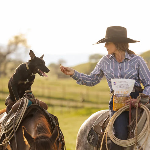 Wholesomes Gourmet Rewards Nut'R'Nipz Dog Treats - 2lb Bag