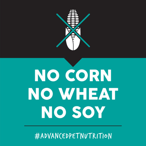 Ultimates Sensitive Skin & Stomach Dry Dog Food - Lamb - 28lb Bag