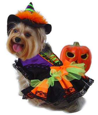 Puppe Love Pet Costumes - Neon Witch - Size 2