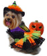 Puppe Love Pet Costumes - Neon Witch - Size 2