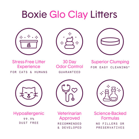 BoxieCat Glo Natural Attractions Clumping Cat Litter - 16lb Bag