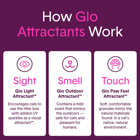 BoxieCat Glo Natural Attractions Clumping Cat Litter - 16lb Bag