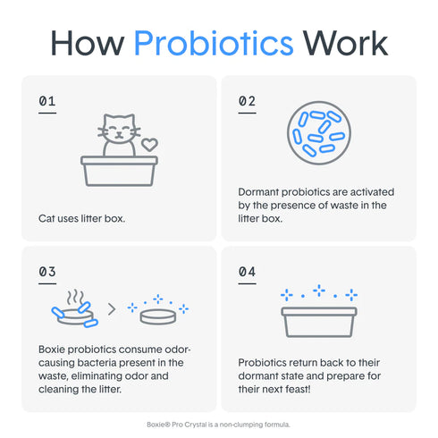 BoxieCat Pro Self Cleaning With Probiotic Clumping Clay Cat Litter - 40lb Bag