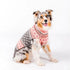 Chilly Dog Dog Sweater - Large - Peach Fair Isle