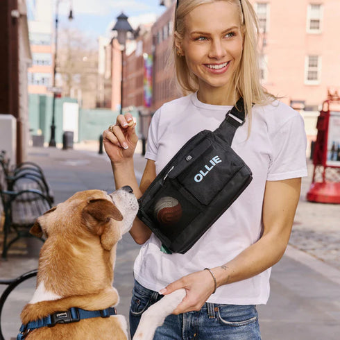 Cleverpup Dog Walk & Train Sling Bag - Graphite