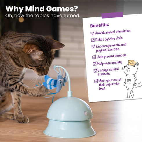 Catstages Electronic Clutter Dome Cat Toy & Ball Track Topper