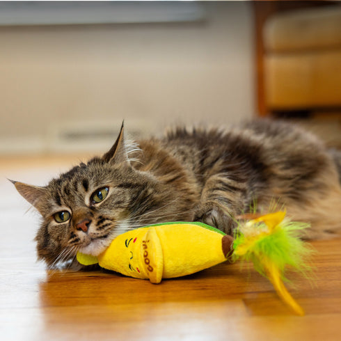 Catstages Kicker Peelin' Good Banana Cat Toy