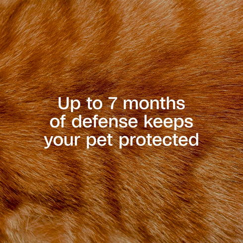 Adams Plus Flea & Tick Collar for Cats - 1 Pack - 1 Month Supply