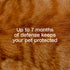 Adams Plus Flea & Tick Collar for Cats - 1 Pack - 1 Month Supply