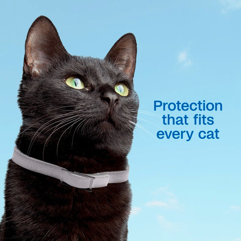 Adams Plus Flea & Tick Collar for Cats - 1 Pack - 1 Month Supply