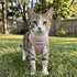 BayCat Adventure Cat Harness - Medium - Pink