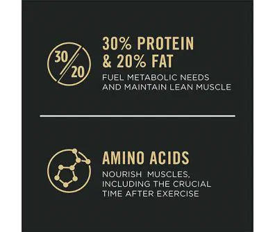 Purina Pro Plan Sport Performance 30/20 Dry Dog Food - Chicken & Rice - 6lb Bag