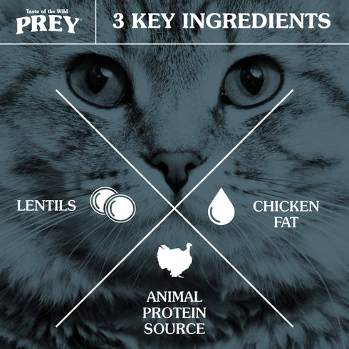 Taste of the Wild Prey Limited Ingredient Dry Cat Food - Angus Beef - 15lb Bag