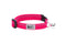 RC Pets Kitty Breakaway Cat Collar - One Size 8-10" - Raspberry