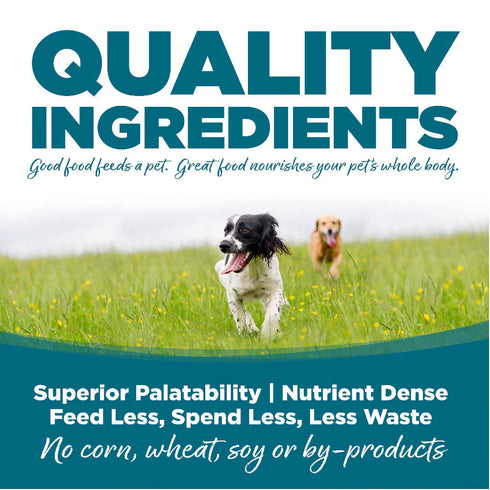 NutriSource Dry Dog Food - Chicken & Rice - 4lb Bag