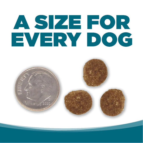 NutriSource Dry Dog Food - Chicken & Rice - 4lb Bag