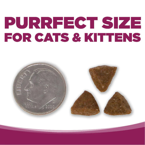 NutriSource Cat & Kitten Dry Food - Chicken & Rice - 4lb Bag