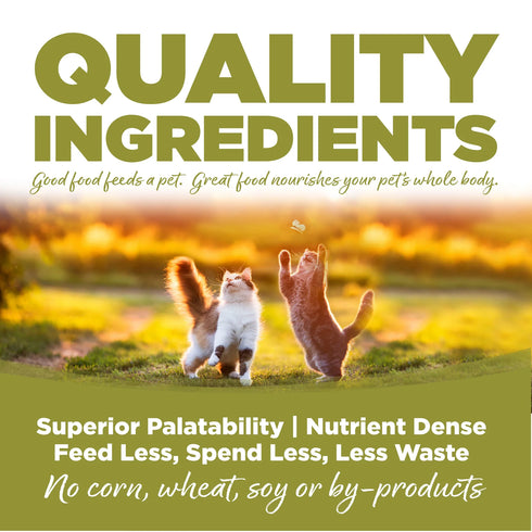 NutriSource Weight Management Senior Dry Cat Food - Chicken & Pea - 4lb Bag