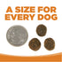NutriSource Grain Free Dry Dog Food - Lamb & Pea - 26lb Bag