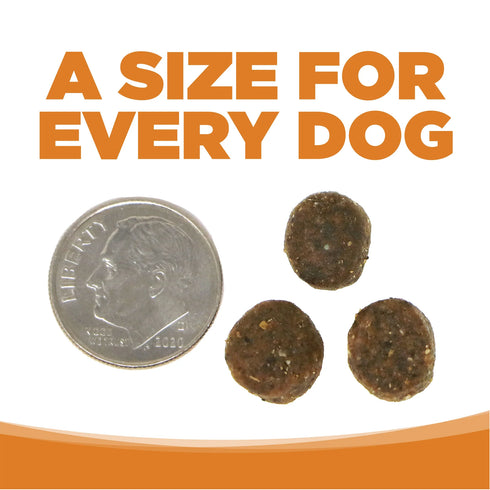 NutriSource Grain Free Dry Dog Food - Lamb Meal & Pea - 4lb Bag