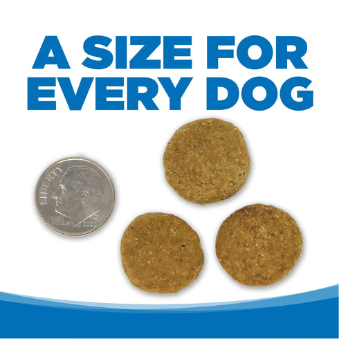 NutriSource Large Breed Grain Free Dry Dog Food - Chicken & Pea - 26lb Bag