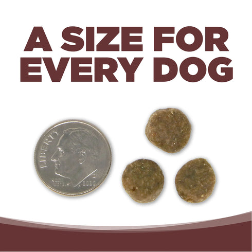 NutriSource Grain Free Dry Dog Food - Prairie Select - 4lb Bag