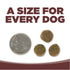 NutriSource Grain Free Dry Dog Food - Prairie Select - 4lb Bag