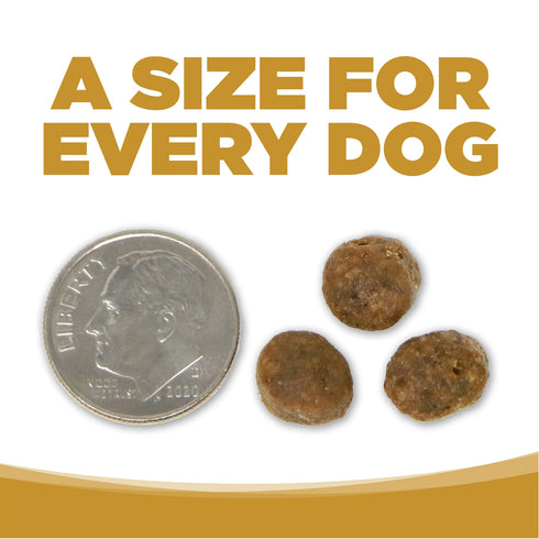 NutriSource Small Bites Grain Free Dry Dog Food - High Plains Select - 4lb Bag