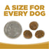 NutriSource Small Bites Grain Free Dry Dog Food - High Plains Select - 4lb Bag