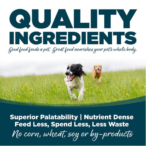 NutriSource Small Bites Dry Dog Food - Chicken & Rice - 4lb Bag