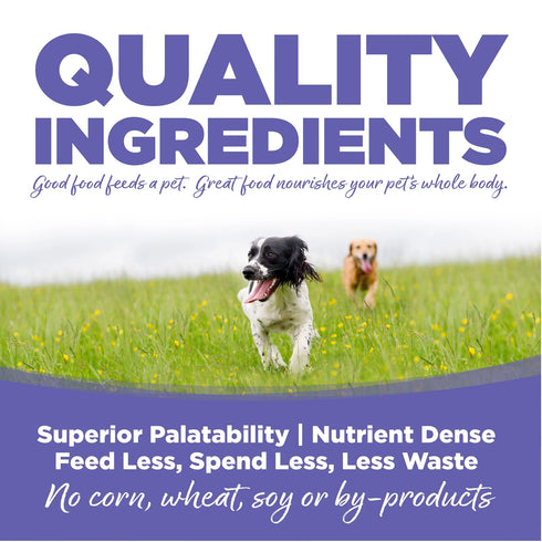 NutriSource Small & Medium Puppy Dry Dog Food - Chicken & Rice - 4lb Bag