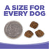 NutriSource Small & Medium Puppy Dry Dog Food - Chicken & Rice - 26lb Bag