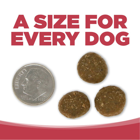 Nutrisource Super Performance Dry Dog Food - Chicken & Rice - 40lb Bag