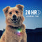 NiteIze Spotlit Rechargeable Dog/Cat Collar Light - Disc-O