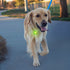 NiteIze Spotlit Rechargeable Dog/Cat Collar Light - Green